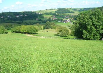 Blick von unserer Sommerweide ins Tal